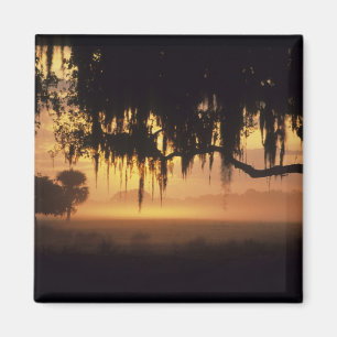 Aimant États-Unis, Floride, lac Kissimmee. Silhouette au 