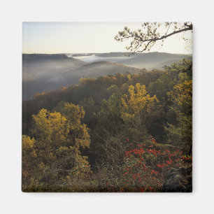 Aimant États-Unis, Kentucky. Forêt nationale Daniel Boone
