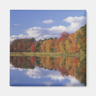 Aimant États-Unis, Massachusetts, Acton. Reflet de l'auto