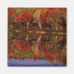 Aimant États-Unis, Michigan, péninsule supérieure. Automn