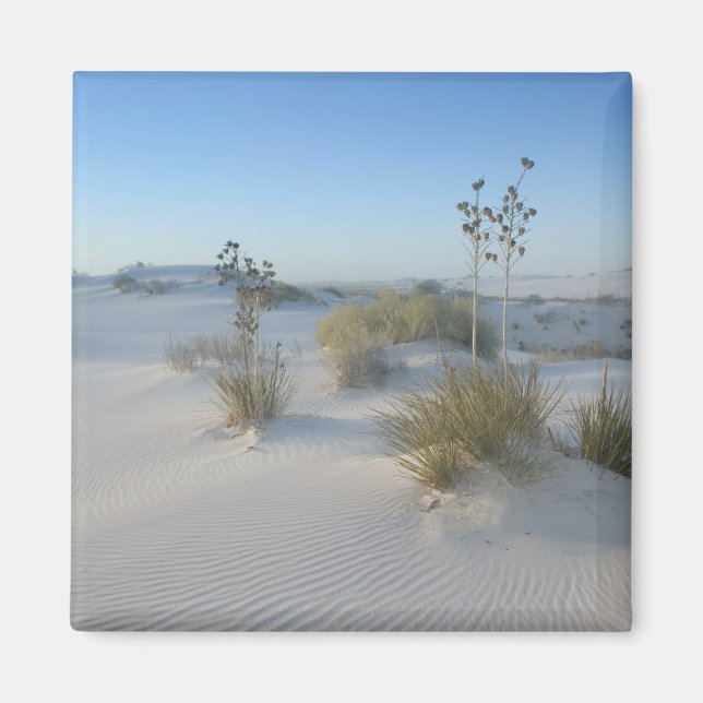 Aimant États-Unis, Nouveau-Mexique, White Sands National  (Devant)