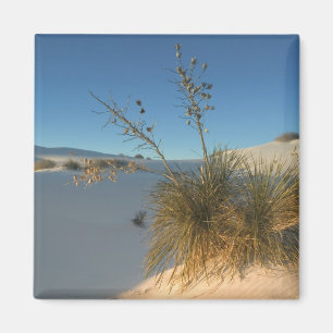 Aimant États-Unis, Nouveau-Mexique, White Sands National