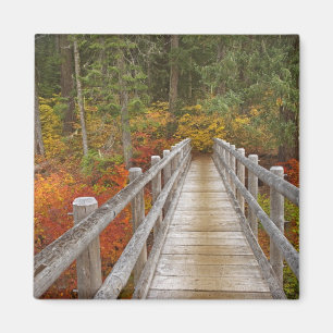 Aimant États-Unis, Oregon, Willamette National Forest.