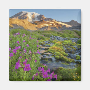 Aimant États-Unis, Parc national du Mont Rainier, Washing