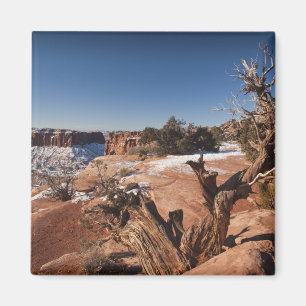 Aimant États-Unis, Utah, Moab. Parc national de Canyonlan