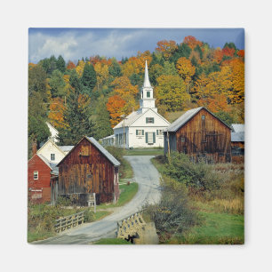 Aimant États-Unis, Vermont, rivière Waits. Le feuillage d