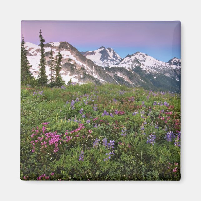 Aimant États-Unis, Washington, Cascade Mountains, Nord (Devant)