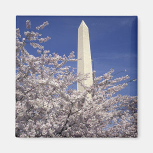 Aimant États-Unis, Washington DC. Festival Cherry Blossom