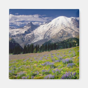 Aimant États-Unis, Washington, Parc national du Mont Rai