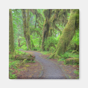 Aimant États-Unis, Washington, Parc national Olympique, H