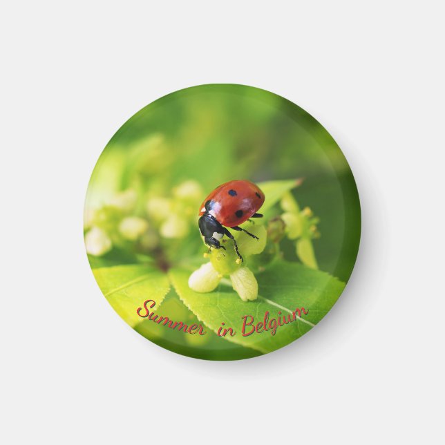 Aimant Été dans le jardin, coccinelle (Devant)