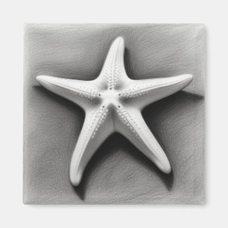 Aimant Étoile de mer noire et blanche