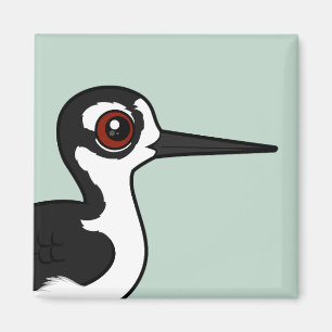 Aimant Étouffe à cou noir