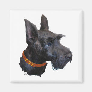 Aimant Étude de tête de Terrier Écossais