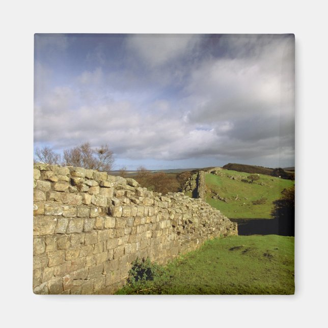 Aimant Europe, Angleterre, Northumberland. Hadrien (Devant)