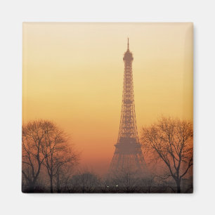 Aimant Europe, France, Paris. Tour Eiffel (Moyen