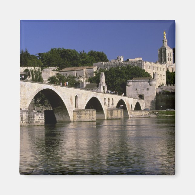 Aimant Europe, France, Provence, Avignon. Palais des (Devant)