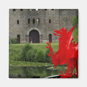 Aimant Europe, Pays de Galles, Cardiff. Château de Cardi