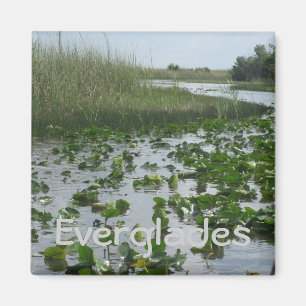 Aimant Everglades