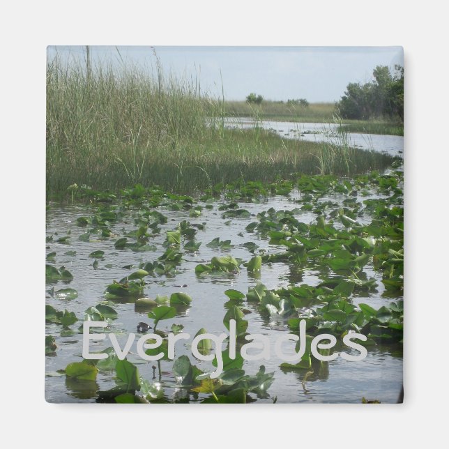 Aimant Everglades (Devant)