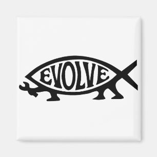 Aimant Évoluez les poissons