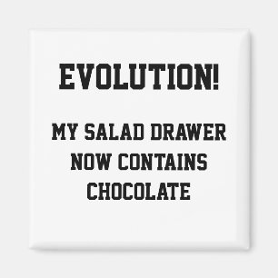 Aimant Évolution