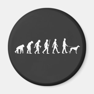 Aimant Évolution vers le propriétaire Greyhound