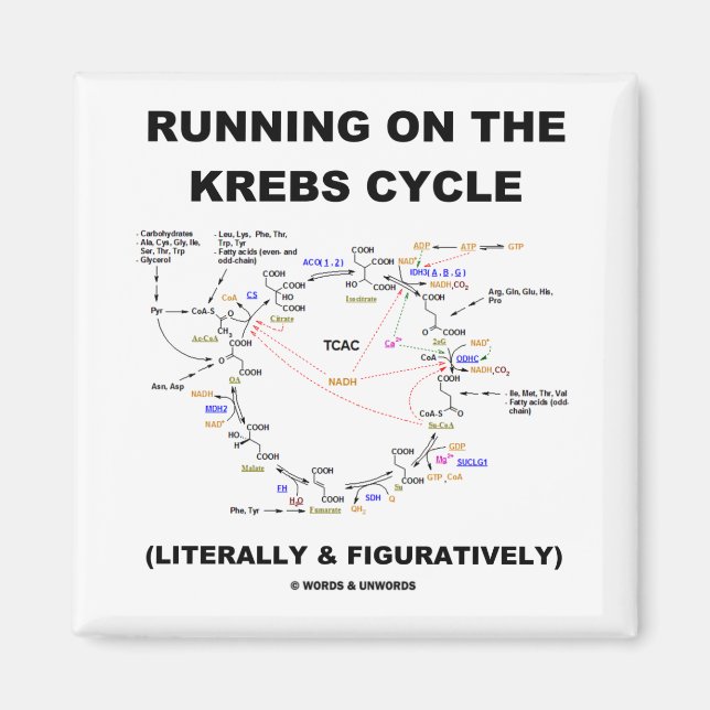 Aimant Exécution Sur Le Cycle Krebs (Humour Scientifique) (Devant)