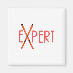 Aimant Expert