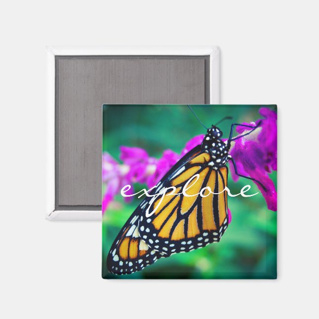 Aimant "Explorer" citation monarque orange photo papillon (Recto/Verso)