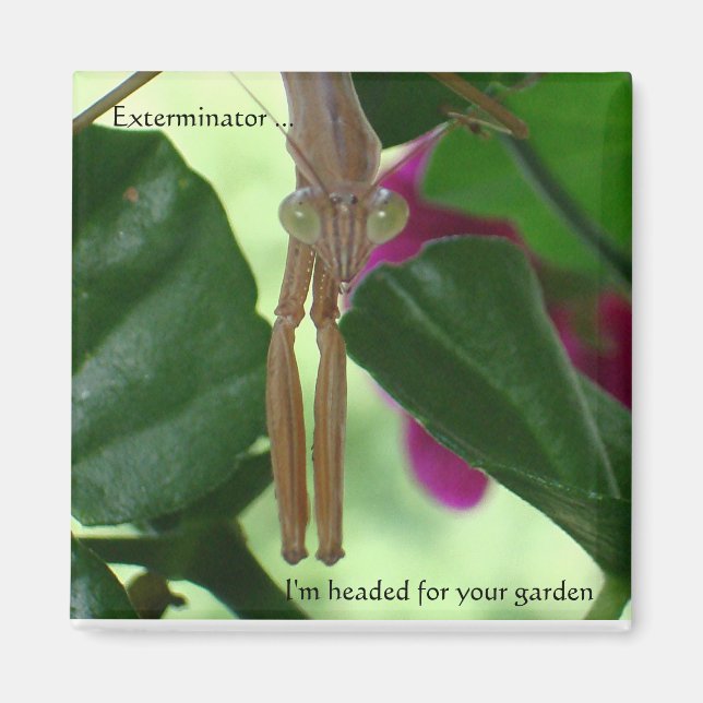 Aimant exterminateur (Devant)