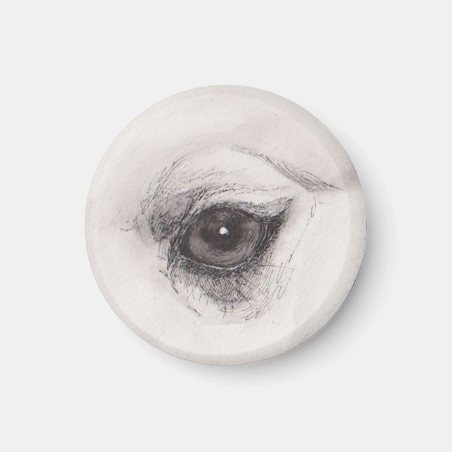Aimant Eye of the Camel – Gaze Collection (Devant)