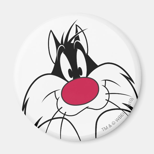 Aimant Face de nez rouge SYLVESTER™ (Devant)