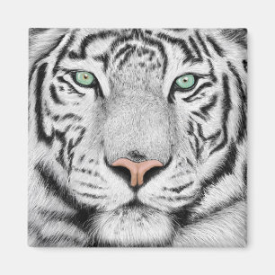 Aimant Face de tigre de neige