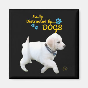 Aimant Facilement Distrait Par Chiens Amusants Gentils - 