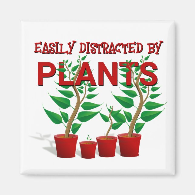 AIMANT FACILEMENT DISTRAIT PAR LES PLANTES (Devant)