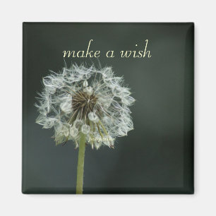 Aimant faire un voeu