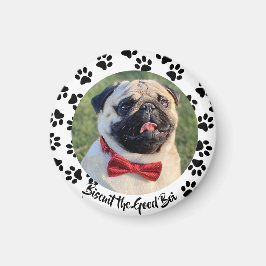 Aimant Faites-en un chien coquelicot