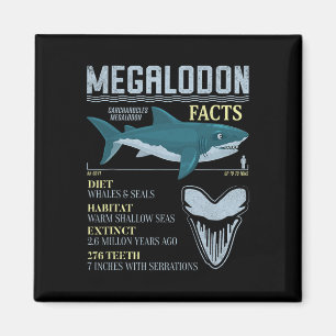 Aimant Faits sur le Mégalodon Dent de Requin Préhistoriqu