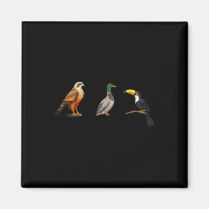 Aimant Falcon Canard Toucan Birds Subtil Anti Trump 1