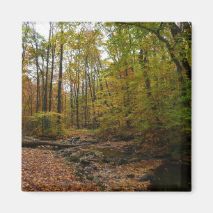 Aimant Fall Creek dans le parc national Laurel Hill State