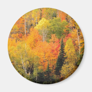 Aimant Fall Foliage Valley