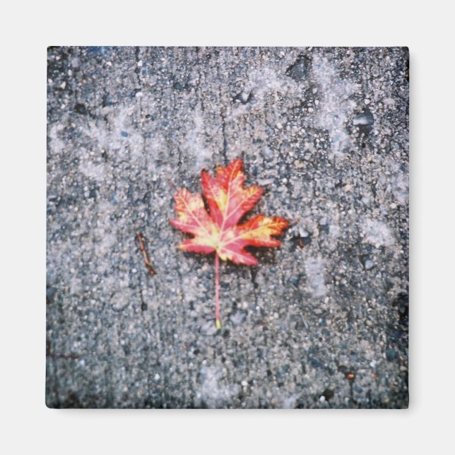 Aimant Fallen (Devant)