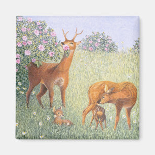 Aimant Famille de cerfs communs