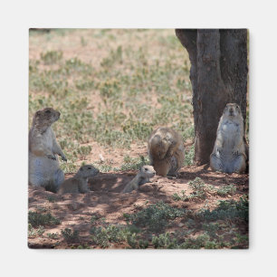 Aimant Famille de chiens des Prairies