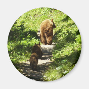 Aimant Famille d'ours Brown