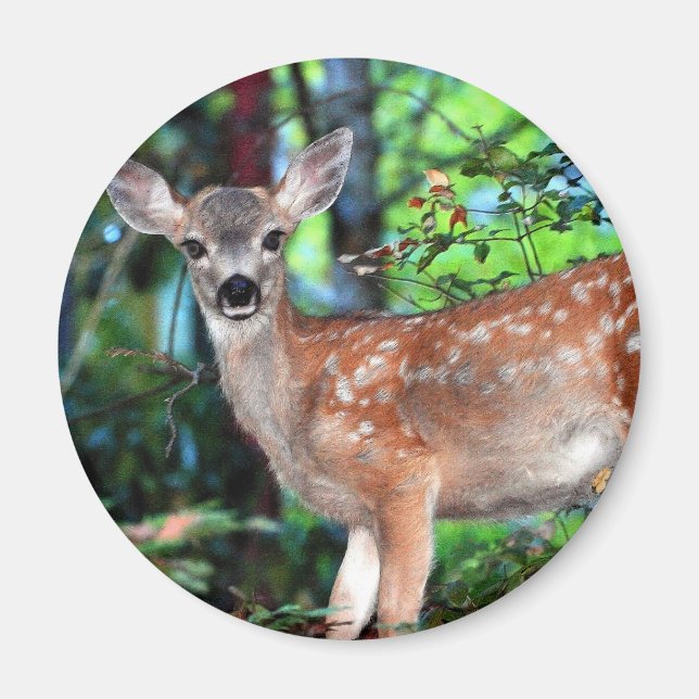 Aimant Faune (Devant)