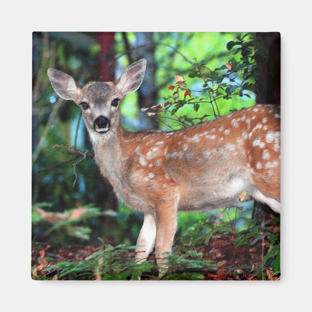 Aimant Faune (Devant)