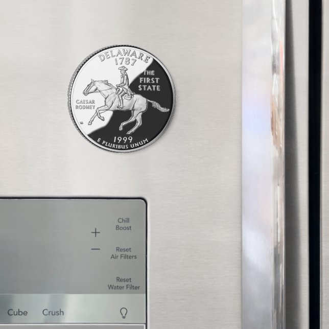 Aimant Faux Delaware (In situ (réfrigérateur))