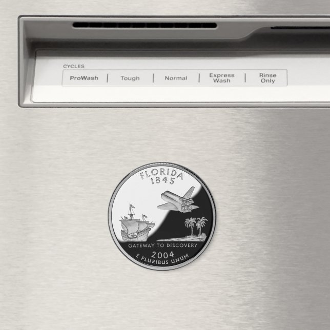 Aimant Faux Florida State Quarter (In Situ (Lave-vaisselle))